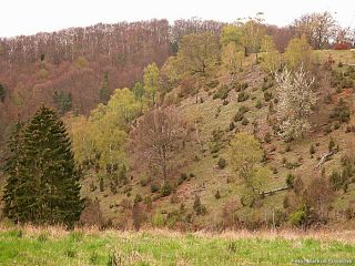 Kleiner Mehlberg
